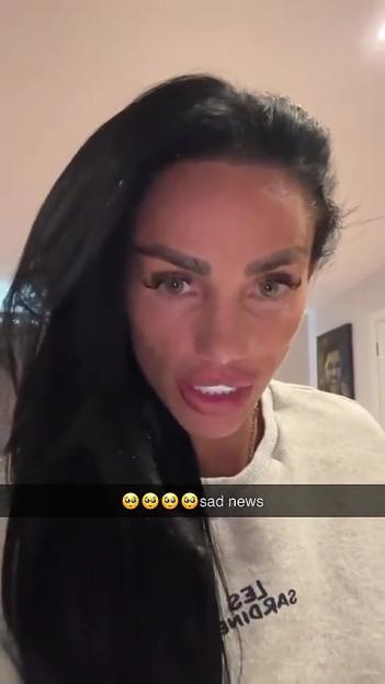 Katie Price announcing sad news about her cat's kittens.