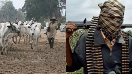 Suspected herdsmen kill seven in Benue midnight attack 