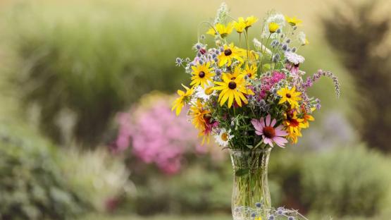 The simple 30p flower hack to help keep your flowers alive for longer this spring using kitchen staple