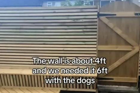 I built a 6ft high wooden fence on MY land so my dogs wouldn’t escape – but my nightmare neighbour chopped it down 