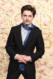 Timothée Chalamet at the Golden Globe Awards.