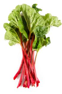 Rhubarb stalks and leaves on white background.
