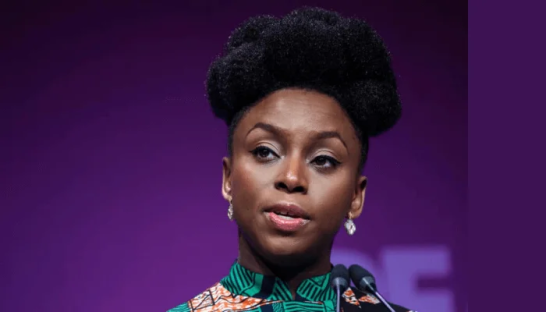 Trump’s administration feels like a Nigerian government – Chimamanda Ngozi Adichie
