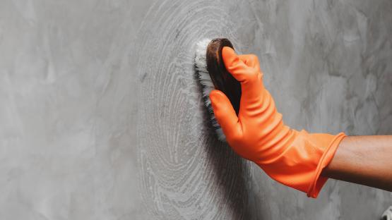 Genius £1 household item is the secret to fixing stained walls – it gets windows streak-free too
