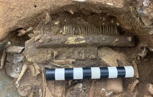 Bromeswell Bucket containing bones and a fine-toothed comb.