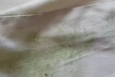 My patio cushion covers were covered in mould & algae – I got them looking brand new with a £1.50 buy