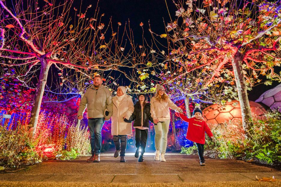 Family walking through the Eden Project at Christmas, illuminated by festive lights.