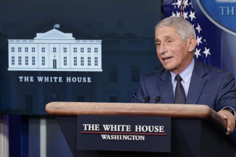 Dr. Anthony Fauci speaking at a White House press briefing.