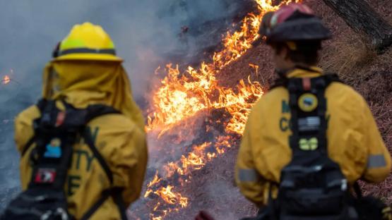Wildfire: South Korean city orders over 1,200 residents to evacuate