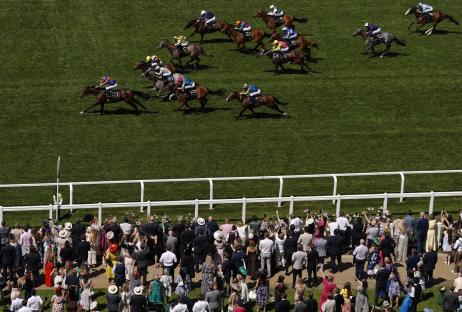 ‘Horrible’ scenes at Royal Ascot as ‘magnificent’ horse Harry’s Girl tragically dies in first race on day two
