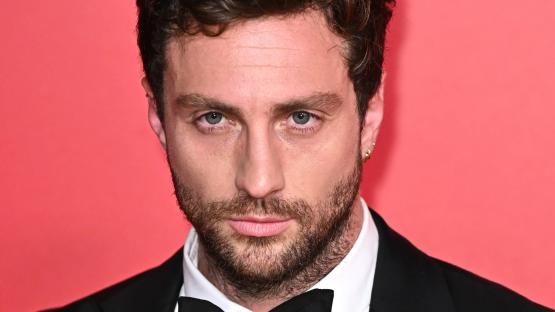 Aaron Taylor-Johnson wins battle with local council after building lake at rustic farmhouse as birds help star impress