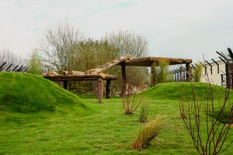 Lion rescue center habitat with wooden climbing structures.