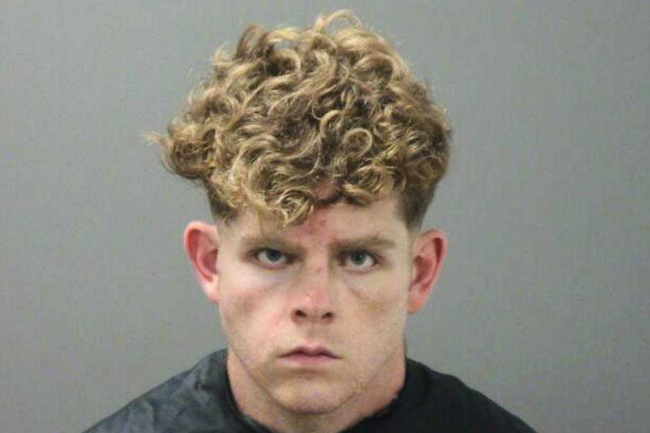 Mugshot of Andrew McGann.
