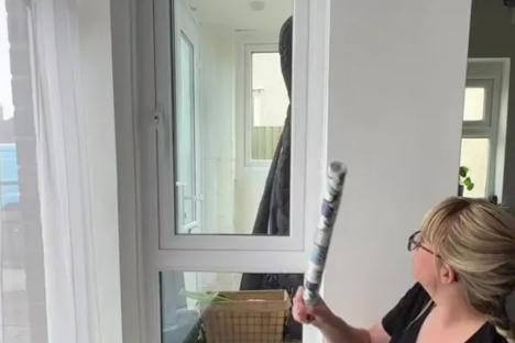 I’ve found the best renter-friendly hack to transform your home – it’s all thanks to a £4.50 buy & it gives more privacy