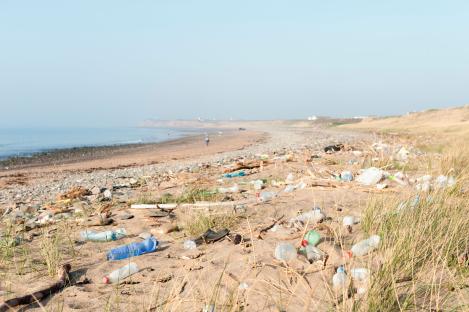 Beach littered with plastic bottles and debris.