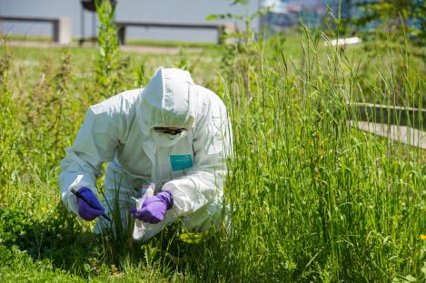 Forensic scientist collecting evidence in a grassy field.