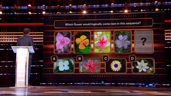 Game show question: identify the next flower in a sequence.