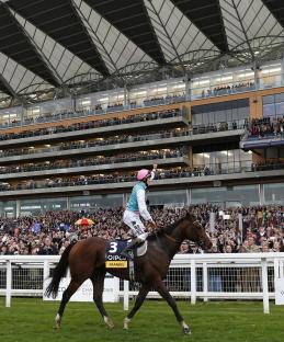 Jockey Tom Quealy celebrates winning The Champion Stakes on Frankel at Ascot racecourse.