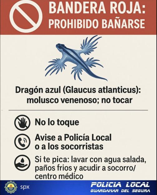Illustration of a sign prohibiting swimming due to the presence of venomous blue dragons.