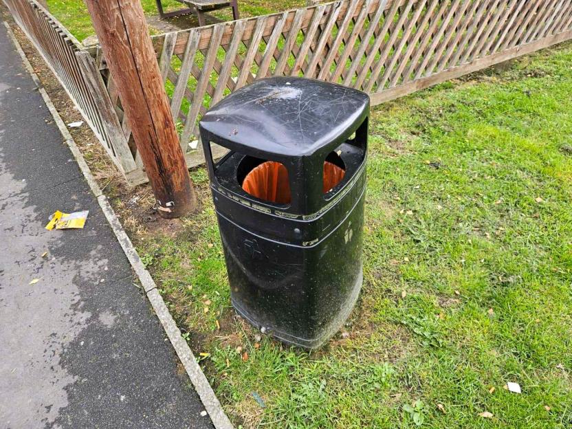 A black public waste bin on a patch of grass next to a pavement.