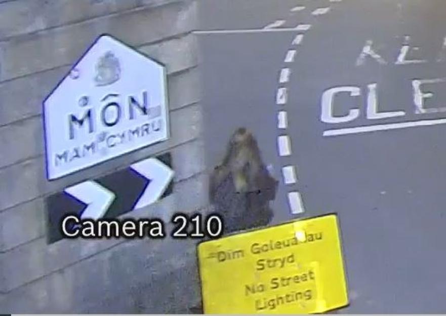 CCTV image of a woman walking near a bridge; camera 210.
