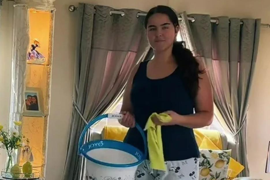 How to use a paintbrush to get spotless, streak-free windows in the Spring sun – claims gypsy wife with a pristine home 