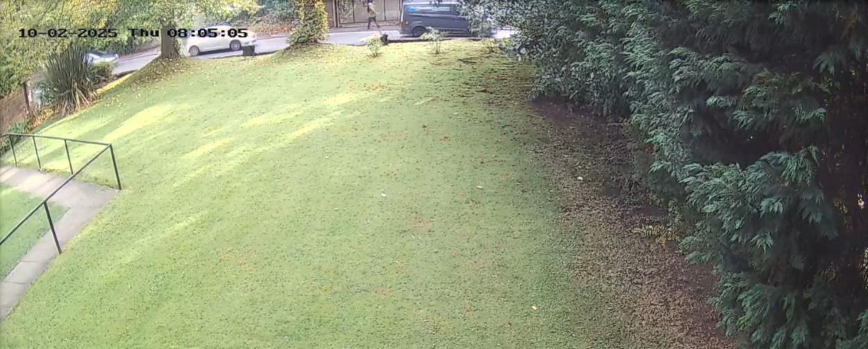 CCTV footage of a person walking a dog on a street beside a grassy hill with trees.