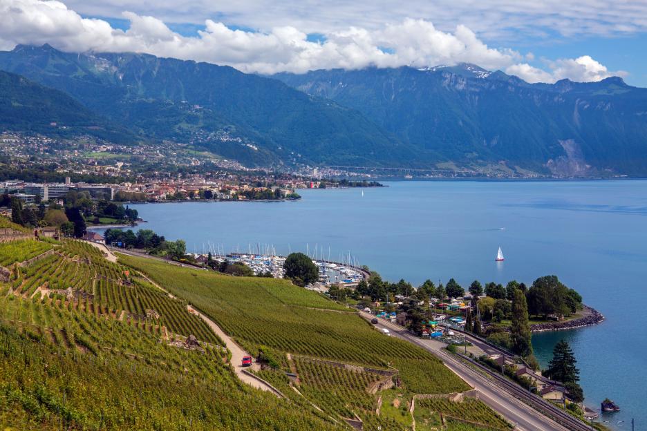 Vineyards, city, and lake with mountains in the background.