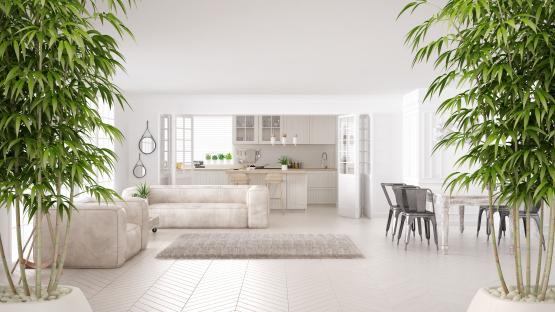 Illustration of a zen-like minimalist living room and kitchen with potted bamboo plants.