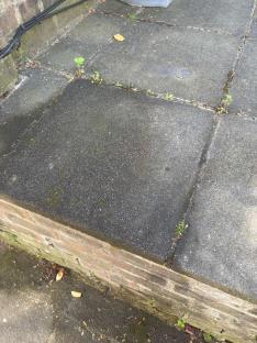 Dirty paving stones with weeds growing in the cracks.