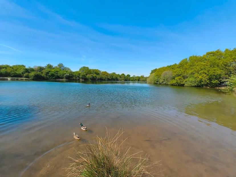 Tragedy as man, 27, drowns after ‘disappearing beneath the water’ while swimming at UK beauty spot