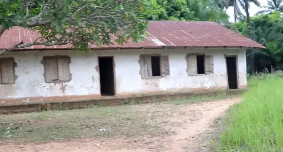 Snakes, lizards take over Benue public schools as teachers, pupils abandon classes 5