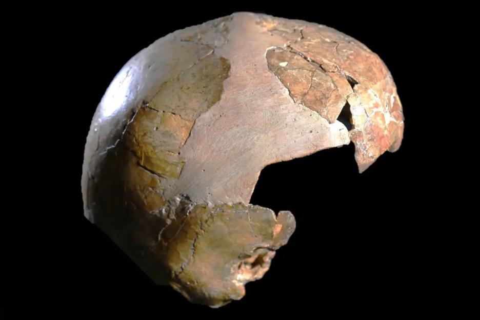Eerie ‘hybrid’ skull belonged to ‘half human, half neanderthal girl’ that died 140,000 years ago aged just 3