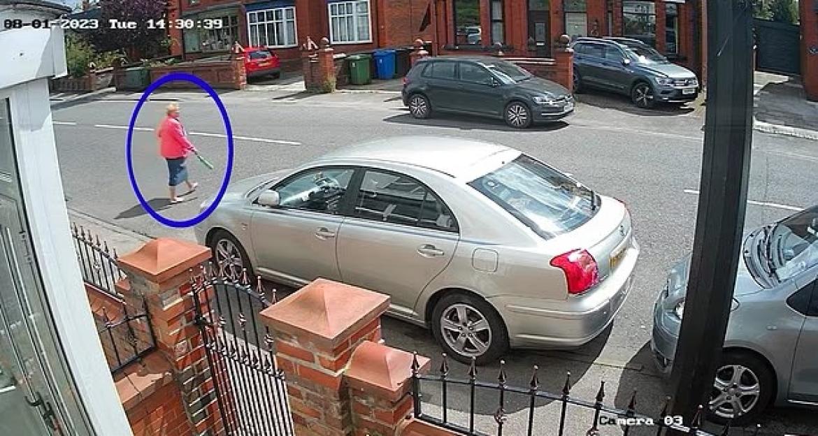 CCTV image showing a woman walking down a street, involved in a hit and run incident.
