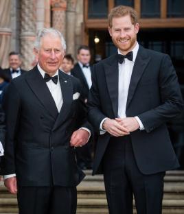 Prince Charles and Prince Harry at the