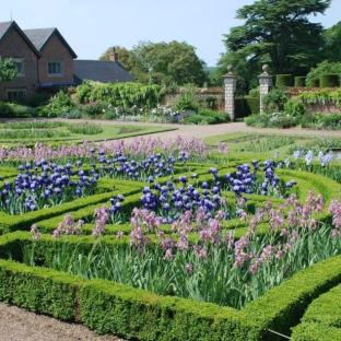 Formal gardens at Doddington Hall with irises and hedges.
