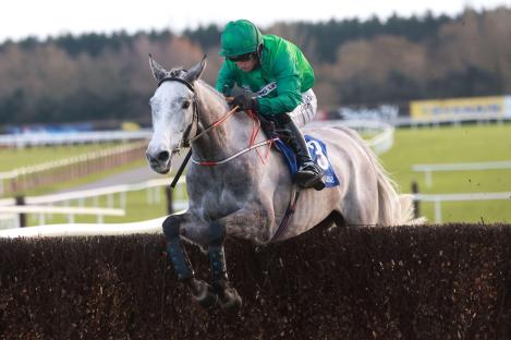 Record number of grey horses in the Grand National as terrified bookies brace for millions to back them