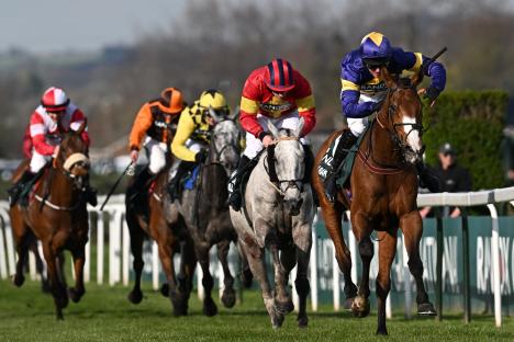 Surge of cash for new Grand National favourite as punters place faith in awesome grey horse who’s a ‘strong stayer’