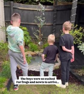Three boys looking at a small pond in their garden, excited for frogs and newts.