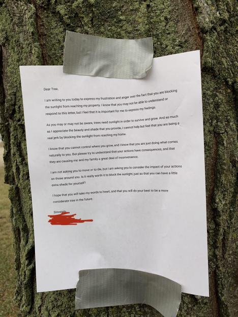 A letter taped to a tree, addressed to "Dear Tree," expressing frustration about the tree blocking sunlight from the writer's property.