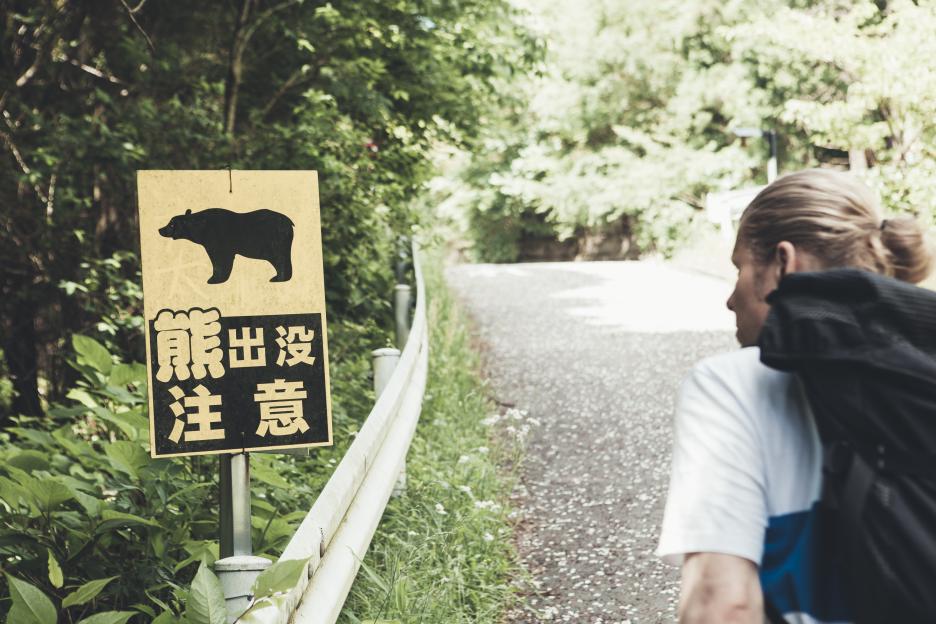 Hiker Walking on a Highway Looking at Bear Sign