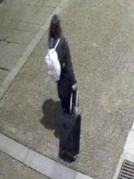 Collage of two surveillance images showing a woman with dark hair pulling a black rolling suitcase.