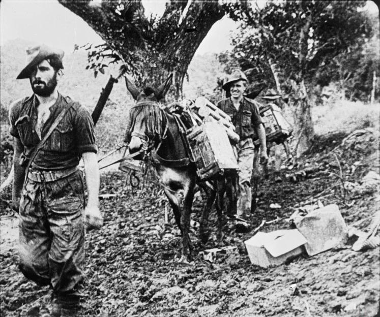 Chindits and mules carrying supplies through a jungle.
