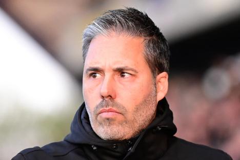 QPR boss Marti Cifuentes considering quitting as manager after breakdown in relationship with CEO