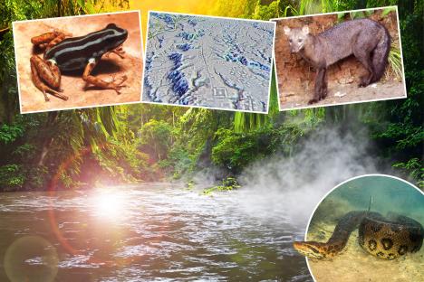 From lost cities to eerie ‘ghost dogs’ – six mysterious discoveries from deep inside the Amazon rainforest