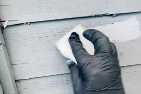 People are raving about the 60p hack for painting garden fences in minutes & say it’s way better & quicker than a brush