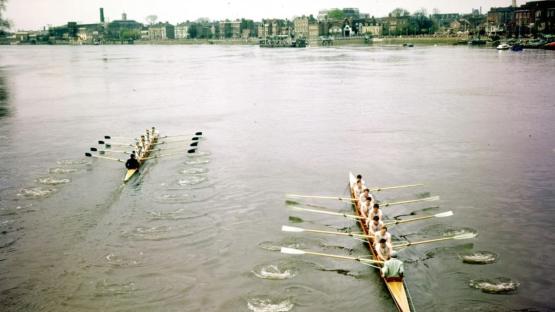 Who has won the most Boat Races and why do only Cambridge and Oxford universities participate?