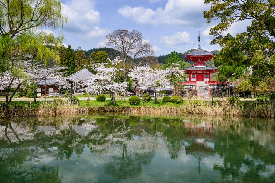 Daikoku-ji Temple in Kyoto, Japan, with cherry blossoms and a pond reflection.