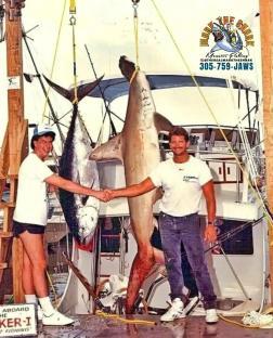 Captain Mark 