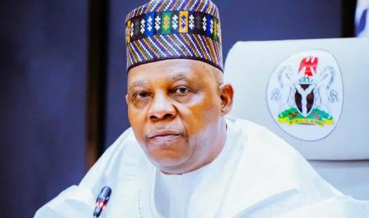 Forgive each other, don’t allow politics divide us – Shettima calls for peace in Kano